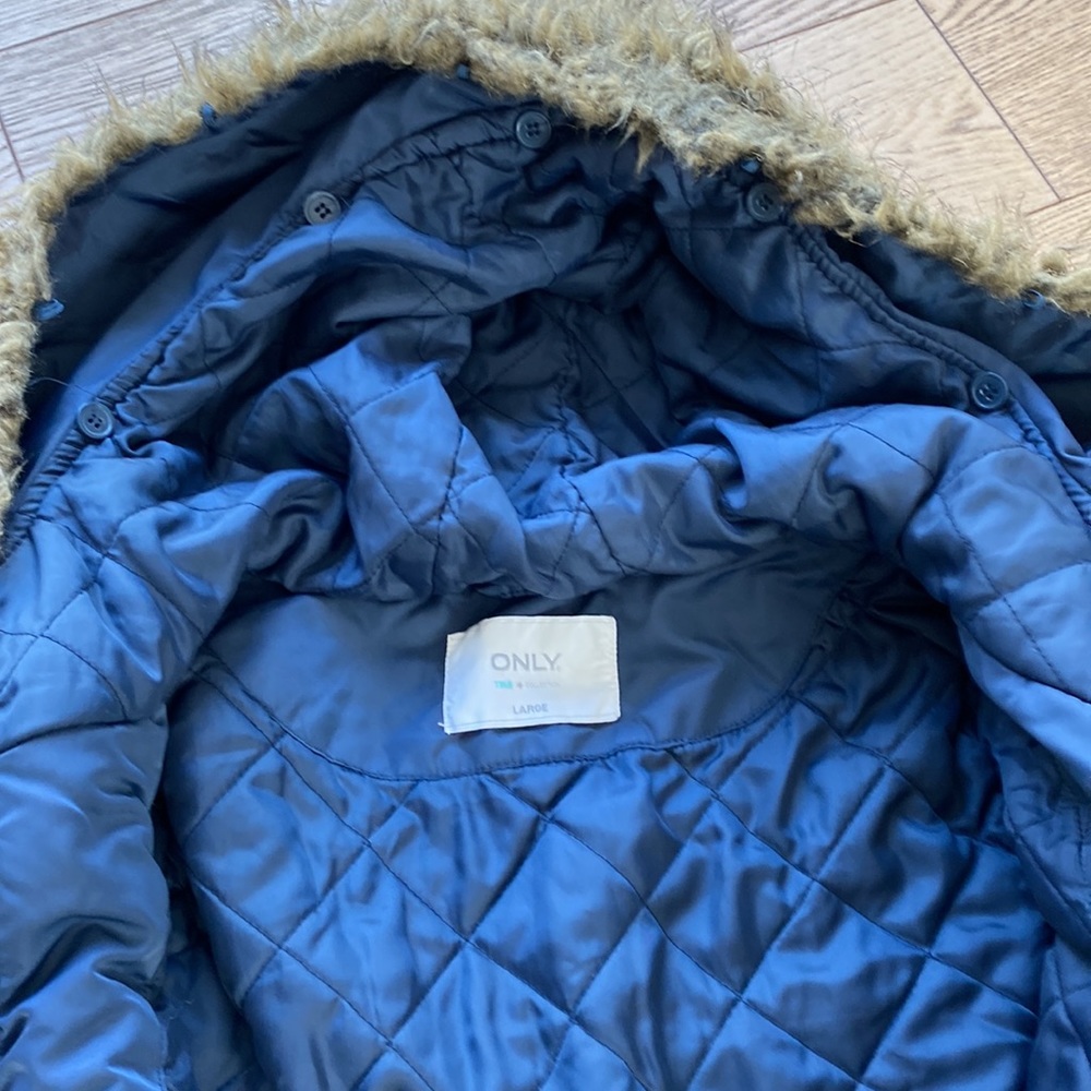 Blue Puffer - image 4